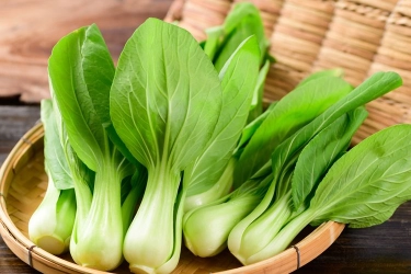 Apa Fakta Nutrisi yang Dikandung Sayur Pakcoy? Ini Ulasannya...