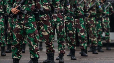 Daftar Perwira Aktif TNI yang Mulai Duduki Jabatan Sipil, Terbaru Dirut Bulog, Cek UU yang Berlaku