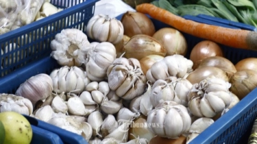 Pengamat Sarankan Pengenaan Tarif Impor Harus Dilakukan untuk Redam Kenaikan Harga Bawang Putih
