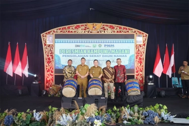 Kampung Madani PNM Hadir di Desa Tanjung Bunut, Warga Intens Dibina Usaha Olahan Nanas