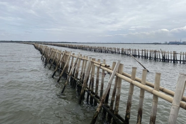 KKP Jelaskan Teknis Pembongkaran Pagar Laut 3,3 Km di Bekasi