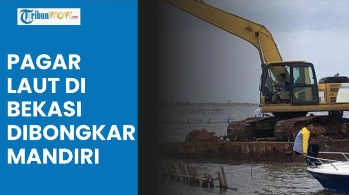 Video Pagar Laut di Bekasi Dibongkar  PT TPRN, KKP Terjun Mengawasi, Diperkirakan Selesai Jumat