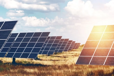 Menuju Net Zero Emissions 2050, Perusahaan Tiongkok Siap Sokong Dana Inovator Teknologi Karbon di Indonesia