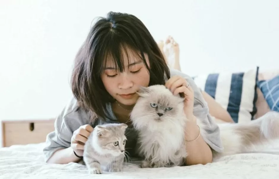 Pecinta Hewan: 5 Zodiak Ini Lebih Suka Menghabiskan Waktu dengan Hewan Peliharaan daripada Teman