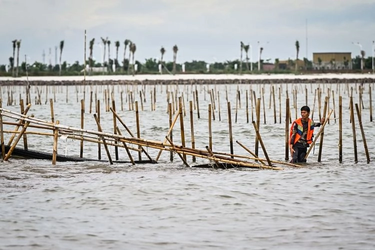 Sejumlah Warga Dicatut Namanya untuk Surat Izin Palsu Pagar Laut Tangerang