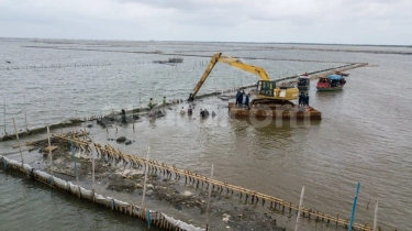 Pagar Laut Bekasi Dibongkar, Ini Kata TRPN