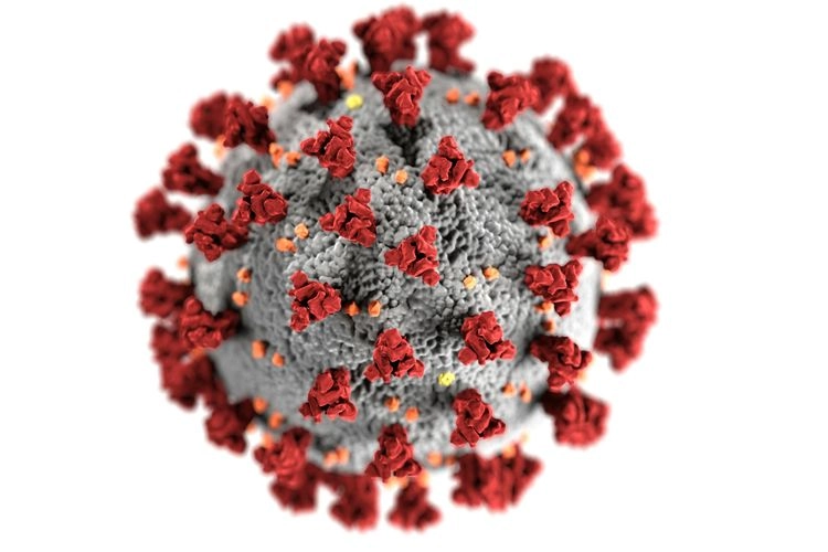 Kasus Flu di Amerika Serikat Melonjak: Rekor Tertinggi dalam 15 Tahun