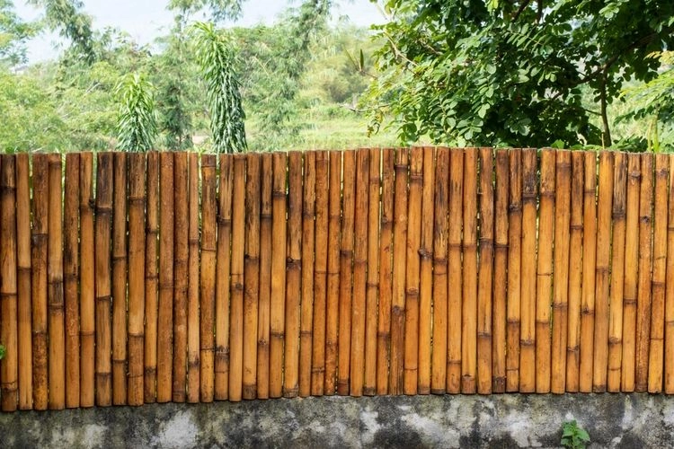 Nih Sederet Keuntungan Punya Pagar dari Material Bambu di Rumah