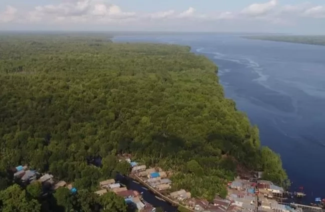 Petani Sawit Minta Pemerintah Hati-Hati Menertibkan Kawasan Hutan