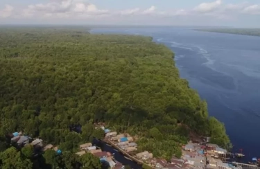 Petani Sawit Minta Pemerintah Hati-Hati Menertibkan Kawasan Hutan