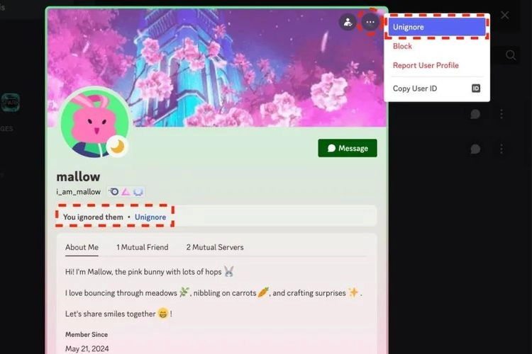 Discord Rilis Fitur ''Ignore'', Bisa Abaikan Pesan Orang Tanpa Harus Diblokir