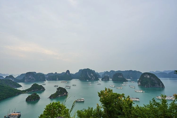 Kapan Bulan Terbaik untuk Pergi ke Vietnam? Ini Saran Dubes Vietnam
