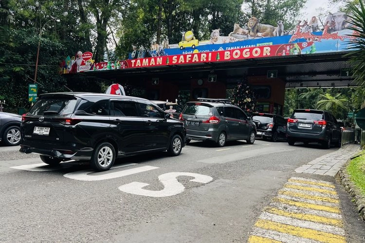 4 Tips Liburan di Taman Safari, Taati Aturan Jangan Keluar dari Mobil!
