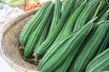 Apa Manfaat Sayur Gambas? Ini 7 Daftarnya...