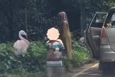 Jangan Keluar Mobil di Taman Safari, Ini Area Khusus Interaksi dengan Satwa