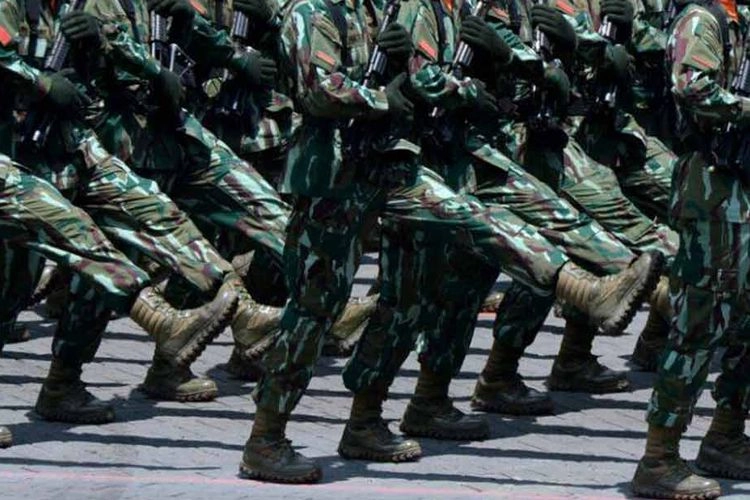 Revisi UU TNI Masuk Prolegnas Prioritas 2025, Apa Saja yang Dulu Jadi Sorotan?