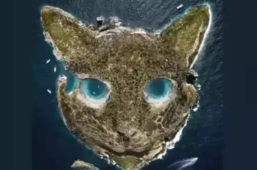 Tes Kepribadian Ilusi Optik Pulau atau Kepala Kucing: Ungkap Cara Anda Menghadapi Tekanan dalam Hidup