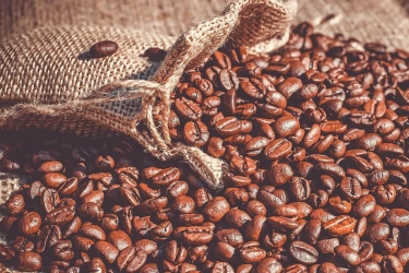 79,2 Metrik Ton Kopi Lampung Diekspor ke Mesir