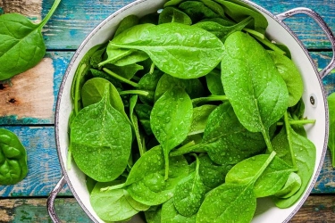 Apakah Sayur Bayam Bisa Bantu Menurunkan Gula Darah? Ini Ulasannya...