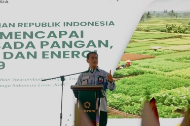Jelang Ramadhan, Mentan Ingatkan Sanksi untuk Pengusaha yang Jual Barang di Atas HET