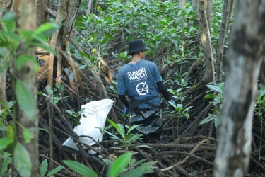 Hadiri Kerja Bakti Massal Mangrove Bali, Mensos Gus Ipul Dorong Masyarakat Jaga Lingkungan