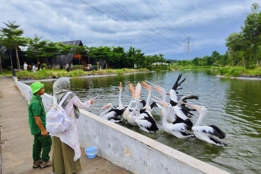 Harga Tiket Masuk Aviary Park Indonesia, Spot Ekowisata di Tangsel