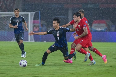 Rumput SUGBK Jelang Timnas Indonesia Vs Bahrain: Permukaan Diratakan