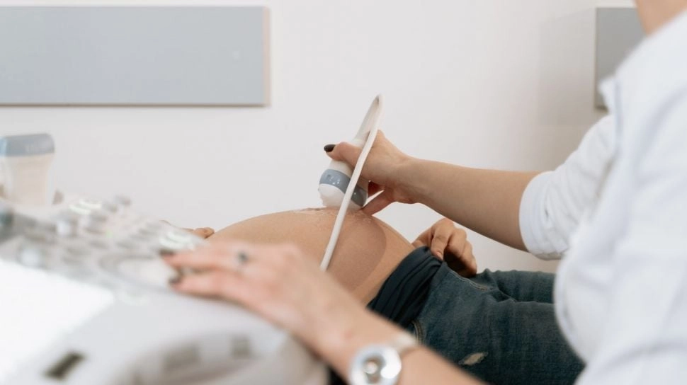 Hamil Bayi Orang Lain: Bagaimana Kesalahan Klinik Fertilitas Menghancurkan Hidup Seorang Wanita