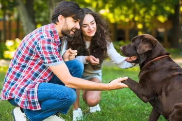 Kebiasaan Bicara dengan Hewan Peliharaan Ternyata Berkaitan dengan Kecerdasan, Menurut Temuan Ilmiah Terbaru