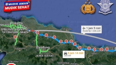 Terungkap! 4 Sumber Data Rahasia yang Membuat Google Maps Jadi 
