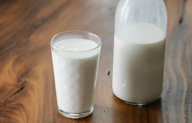 Susu Kambing Etawa Disebut Punya Zat Antibakteri Alami, Berikut Manfaatnya untuk Tubuh