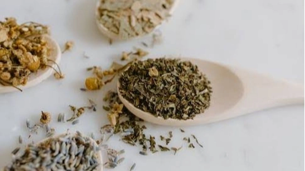 5 Ramuan Herbal untuk Promil Cepat Hamil yang Terbukti Berkhasiat