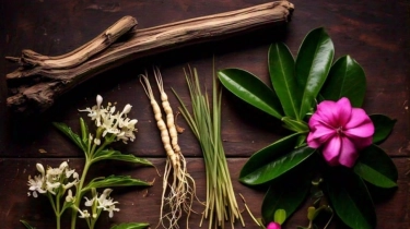 7 Fakta Mengejutkan tentang Herbal Langka yang Hampir Punah