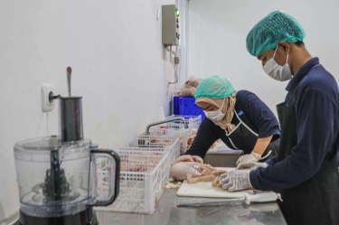 Badan Gizi Ubah Skema Pembayaran Mitra Dapur MBG, Kini Semua Dibayar di Muka, Tak Ada Lagi Sistem Reimburse atau Klaim