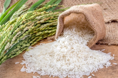 Jepang Impor Beras dari Korsel, Pertama Kalinya dalam 25 Tahun