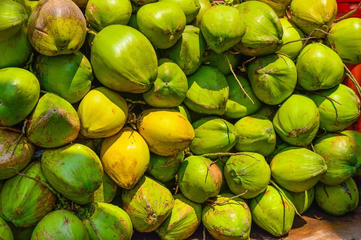 Tak Hanya Indonesia, Malaysia Juga Akan Ekspor Kelapa Bulat ke China