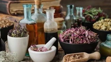 5 Fakta Penting Perbedaan Herbal untuk Katarak dan Glaukoma yang Harus Kamu Tahu