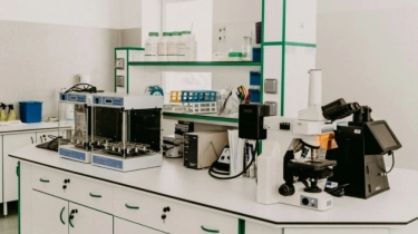 7 Cara Membedakan Makanan Mengandung Babi atau Tidak, Cek di Sini!