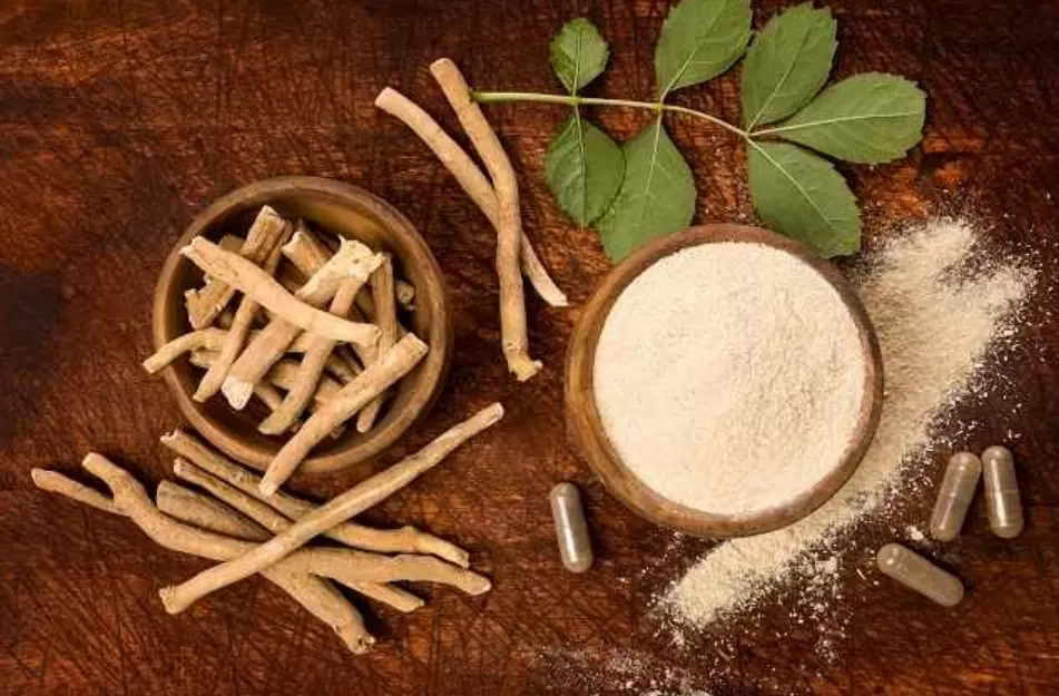 Rahasia Ashwagandha: 8 Manfaat Tanaman Herbal India yang Sudah Terbukti secara Ilmiah