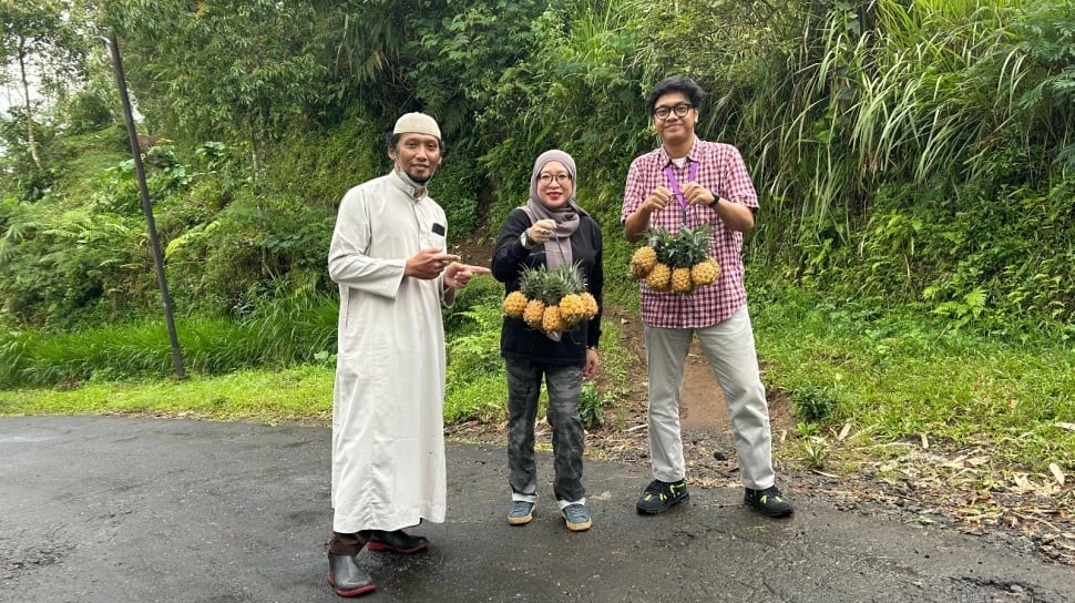 Manisnya Nanas Purbalingga: NanasQu Binaan Pertamina Gandeng 900 Petani Lokal Tembus Pasar Ekspor