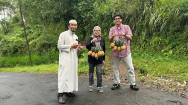 Manisnya Nanas Purbalingga: NanasQu Binaan Pertamina Gandeng 900 Petani Lokal Tembus Pasar Ekspor