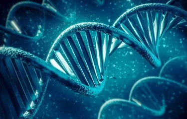 1 Dari 6 Orang di Dunia Alami Kemandulan, Penelitian Terapi Stem Cell Mulai Tunjukan Tren Positif