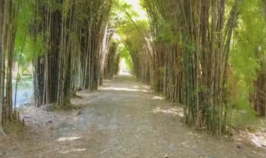 Rekomendasi Tempat Wisata di Surabaya Timur, Bisa Dipakai Piknik Bersama Keluarga