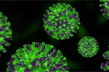 Usai Covid-19 Terdeteksi Lagi, Kemenkes Pastikan Tidak Temukan Kasus Kematian