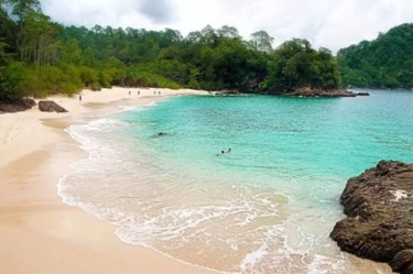 5 Pantai Hidden Gems di Jember yang Wajib Dikunjungi Para Pencinta Alam