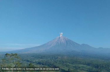 Gunung Semeru Kembali Erupsi, Pos Pengamatan Laporkan Kolom Letusan Capai Ketinggian 800 Meter dari Puncak