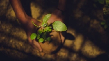 Kalpataru Lestari: Apresiasi untuk Aksi Lingkungan Berkelanjutan