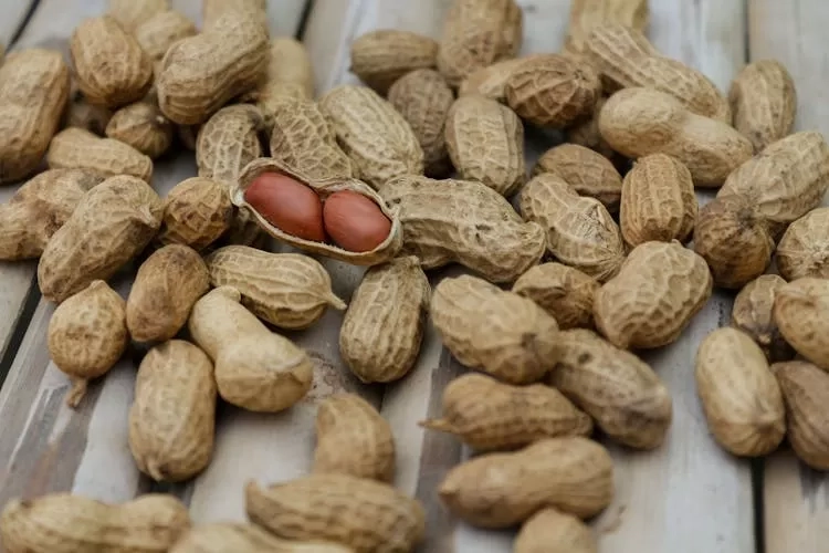 6 Hal Penting yang Perlu Diketahui tentang Alergi Kacang dan Imunoterapi Oral yang Mengubah Hidup