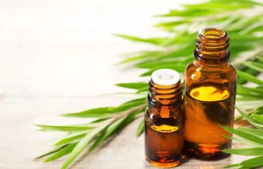 Bisa Atasi Kutu, Ini 5 Manfaat Tea Tree Oil untuk Rambut dan Panduan Cara Menggunakannya dengan Tepat