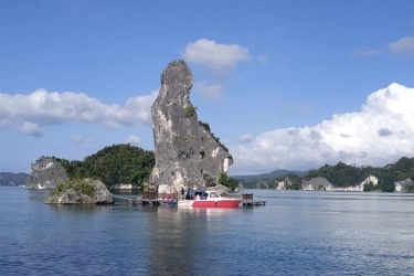KKP Turun Tangan, Tambang Nikel di Raja Ampat Disorot karena Rusak Ekosistem